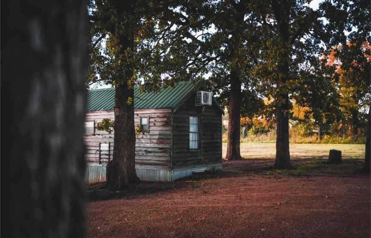 Lakefront Cedar Cabin - 6 Mead Dış mekan fotoğraf